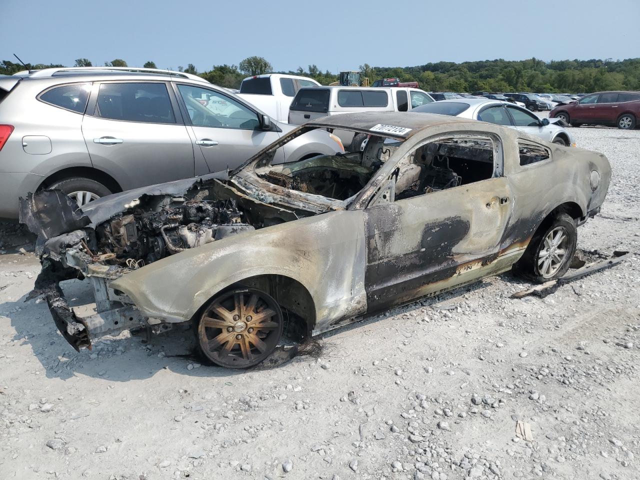 2005 Ford Mustang VIN 1ZVFT80N955154189