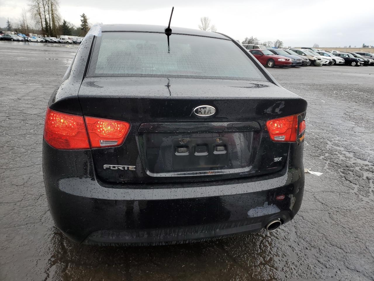 2010 KIA Forte VIN KNAFW4A36A5049598 Copart auction photo, all over damage thumbnail 6