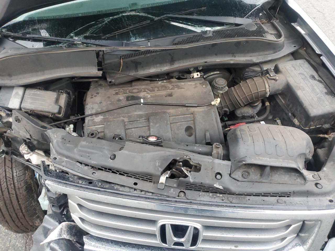 2013 Honda Ridgeline VIN 5FPYK1F54DB005478 Copart auction photo, front end damage thumbnail 12