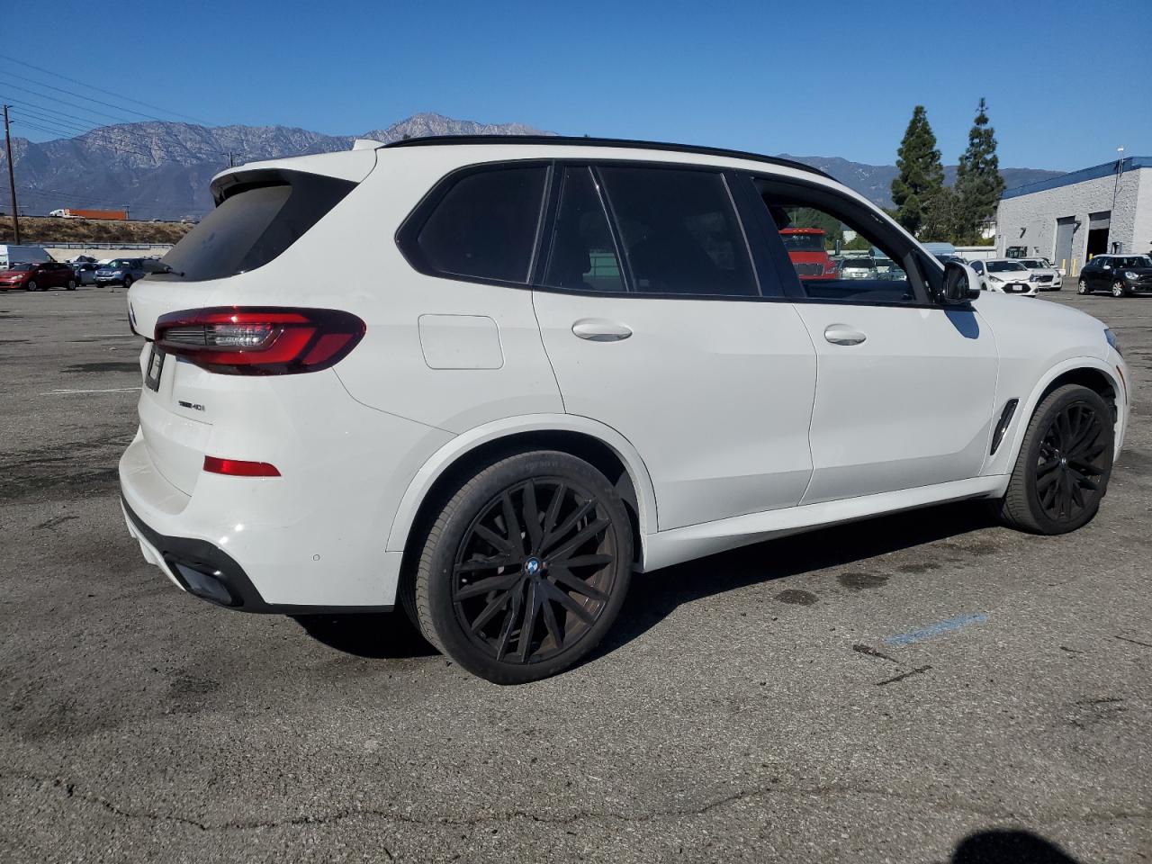 2022 BMW X5 VIN 5UXCR4C00N9K19533 Copart auction photo, side damage thumbnail 3