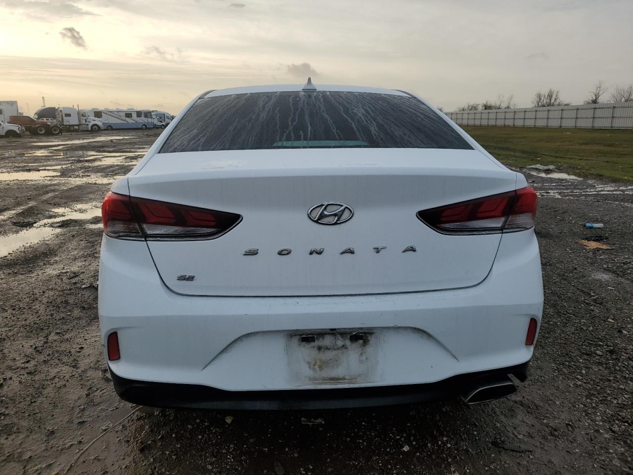 2019 Hyundai Sonata VIN 5NPE24AF3KH791303 Copart auction photo, front end / minor dent/scratches damage thumbnail 6