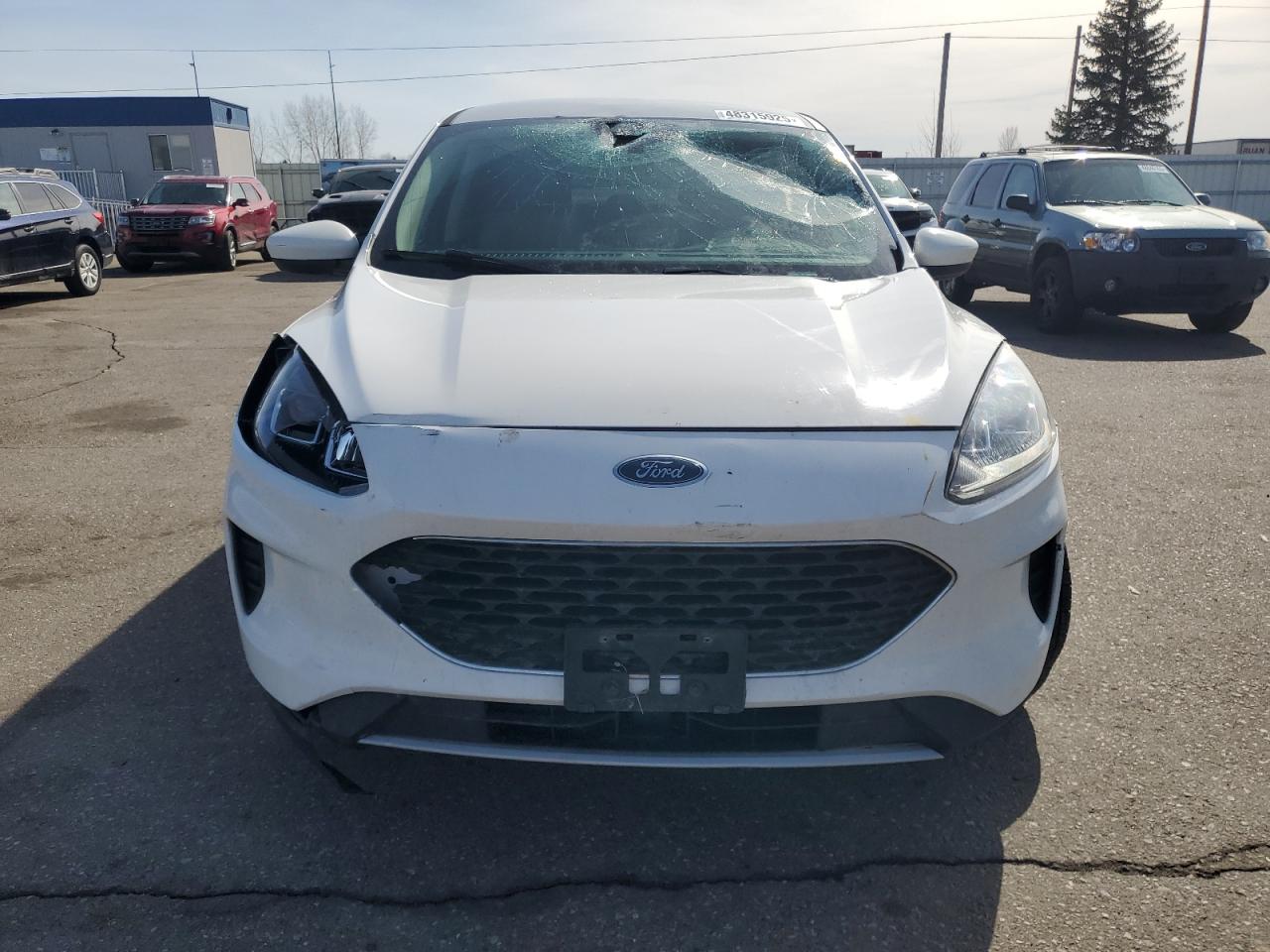 2020 Ford Escape VIN 1FMCU0G67LUA84385 Copart auction photo, front end damage thumbnail 5