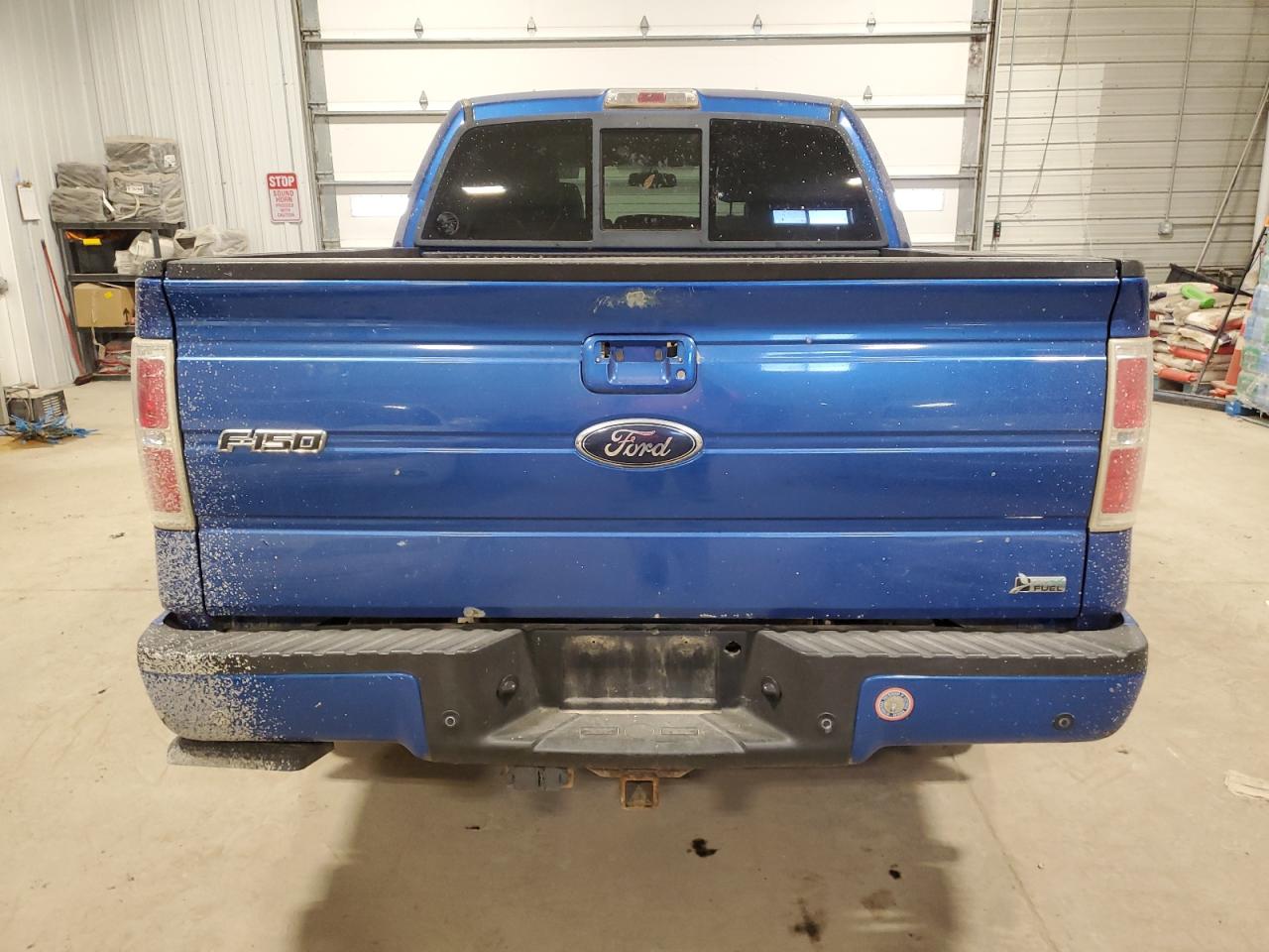 2010 Ford F-150 VIN 1FTFW1EV6AKE46419 Copart auction photo, mechanical / front end damage thumbnail 6