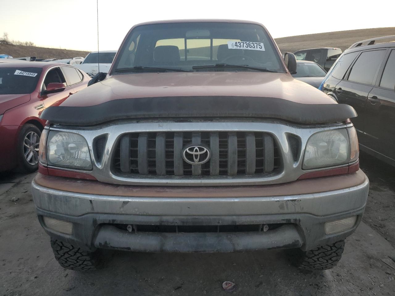 2002 Toyota Tacoma VIN 5TEWN72N92Z029609 Copart auction photo, rear end / hail damage thumbnail 5