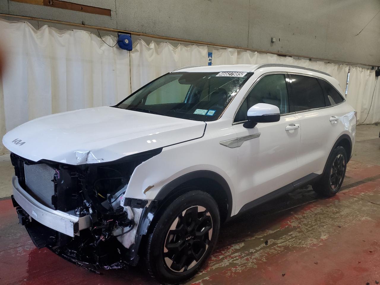 2024 KIA Sorento VIN 5XYRLDJC6RG290685