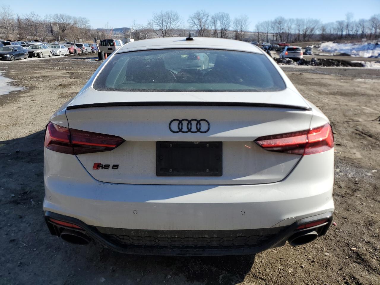 2023 Audi RS5 VIN WUAAWCF51PA900100 Copart auction photo, side damage thumbnail 6