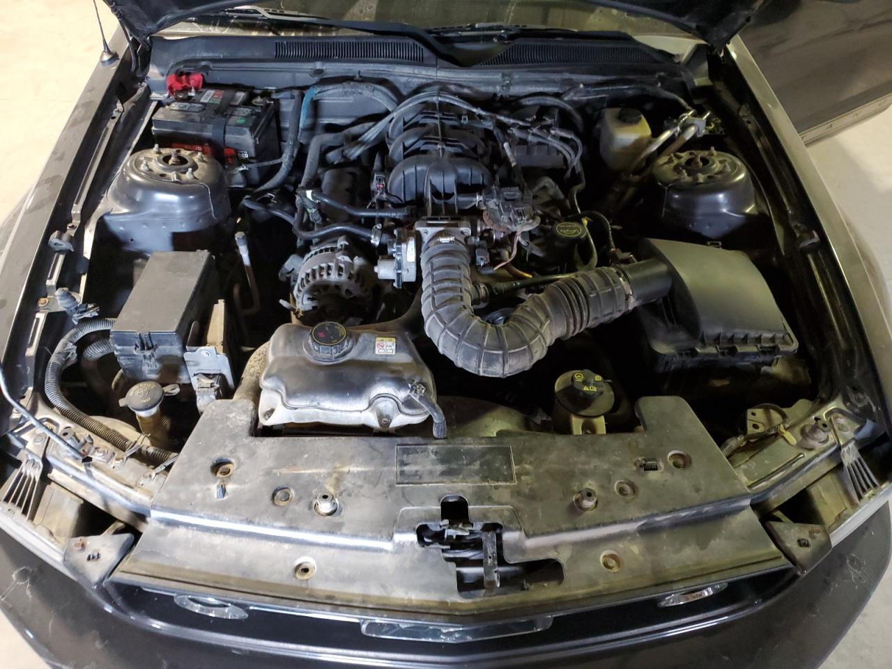 2007 Ford Mustang VIN 1ZVFT80N875258112 Copart auction photo, rear end / minor dent/scratches damage thumbnail 11