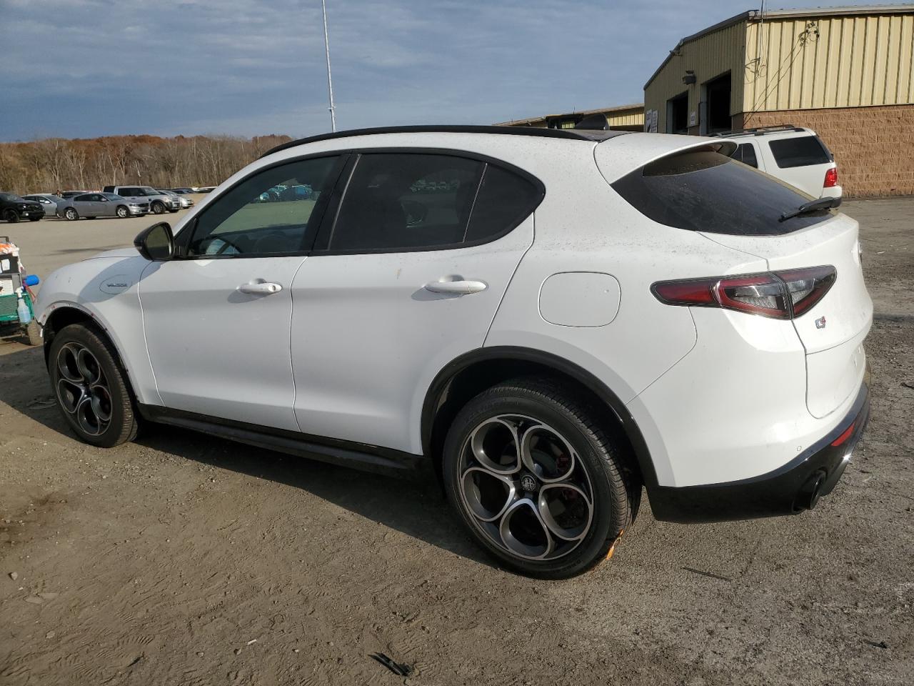 2024 Alfa Romeo Stelvio VIN ZASPAKBN5R7D72610 Copart auction photo, front end / minor dent/scratches damage thumbnail 2
