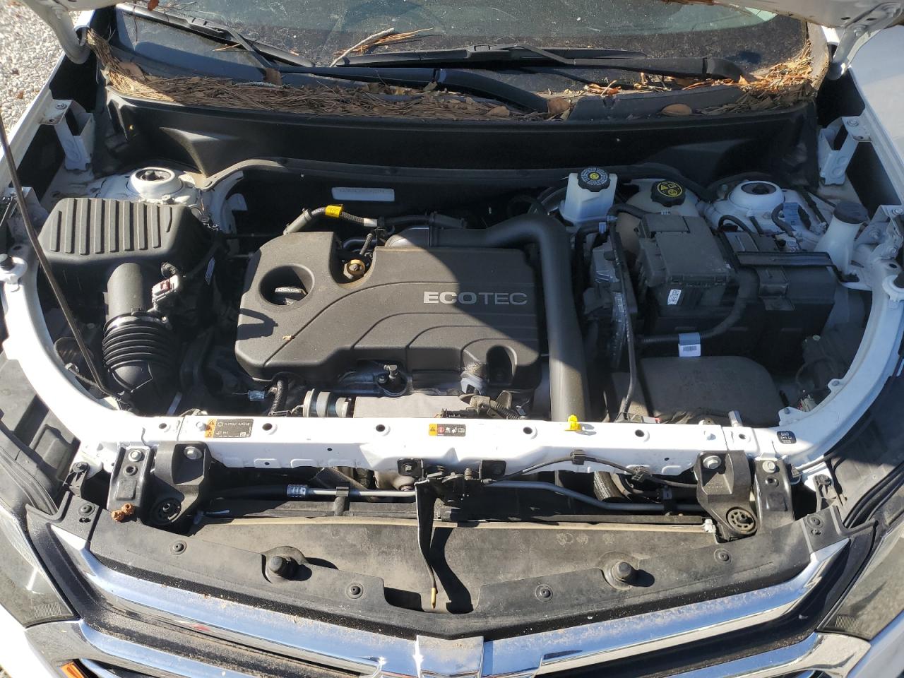 2019 Chevrolet Equinox VIN 3GNAXNEVXKS542274 Copart auction photo, rear end damage thumbnail 11