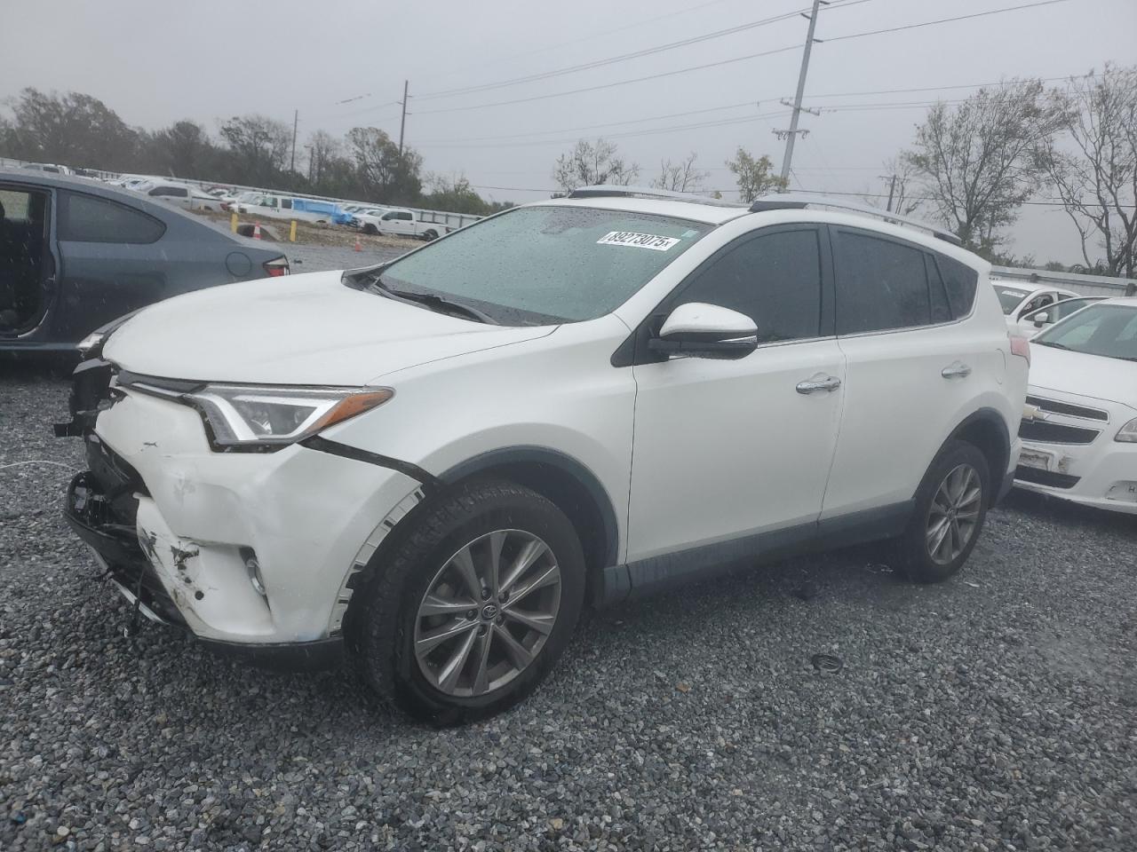 2016 Toyota RAV 4 VIN 2T3YFREV8GW261859