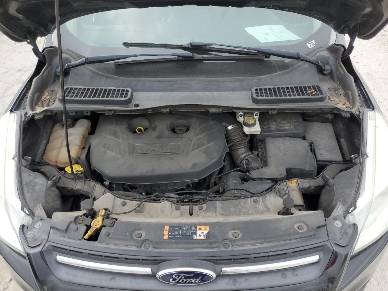 2014 Ford Escape VIN 1FMCU9G97EUE01678 Copart auction photo, rear end / side damage thumbnail 12