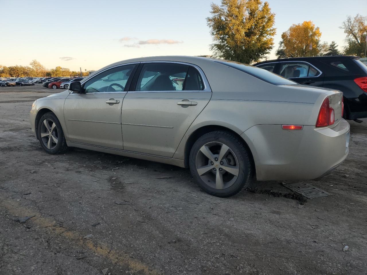 2011 Chevrolet Malibu VIN 1G1ZC5EUXBF369285 Copart auction photo, front end damage thumbnail 2