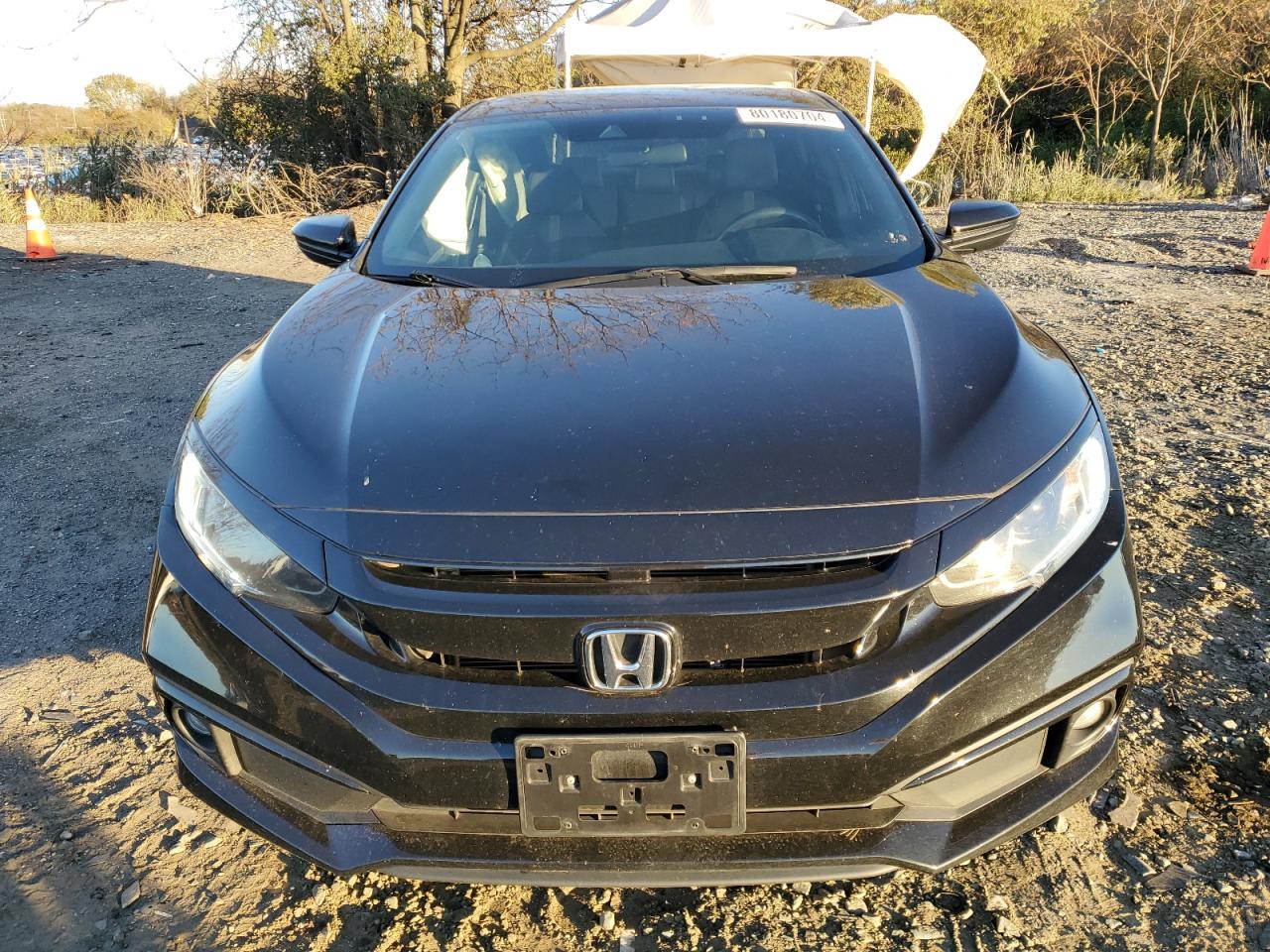 2021 Honda Civic VIN 2HGFC2F81MH508166 Copart auction photo, side damage thumbnail 5