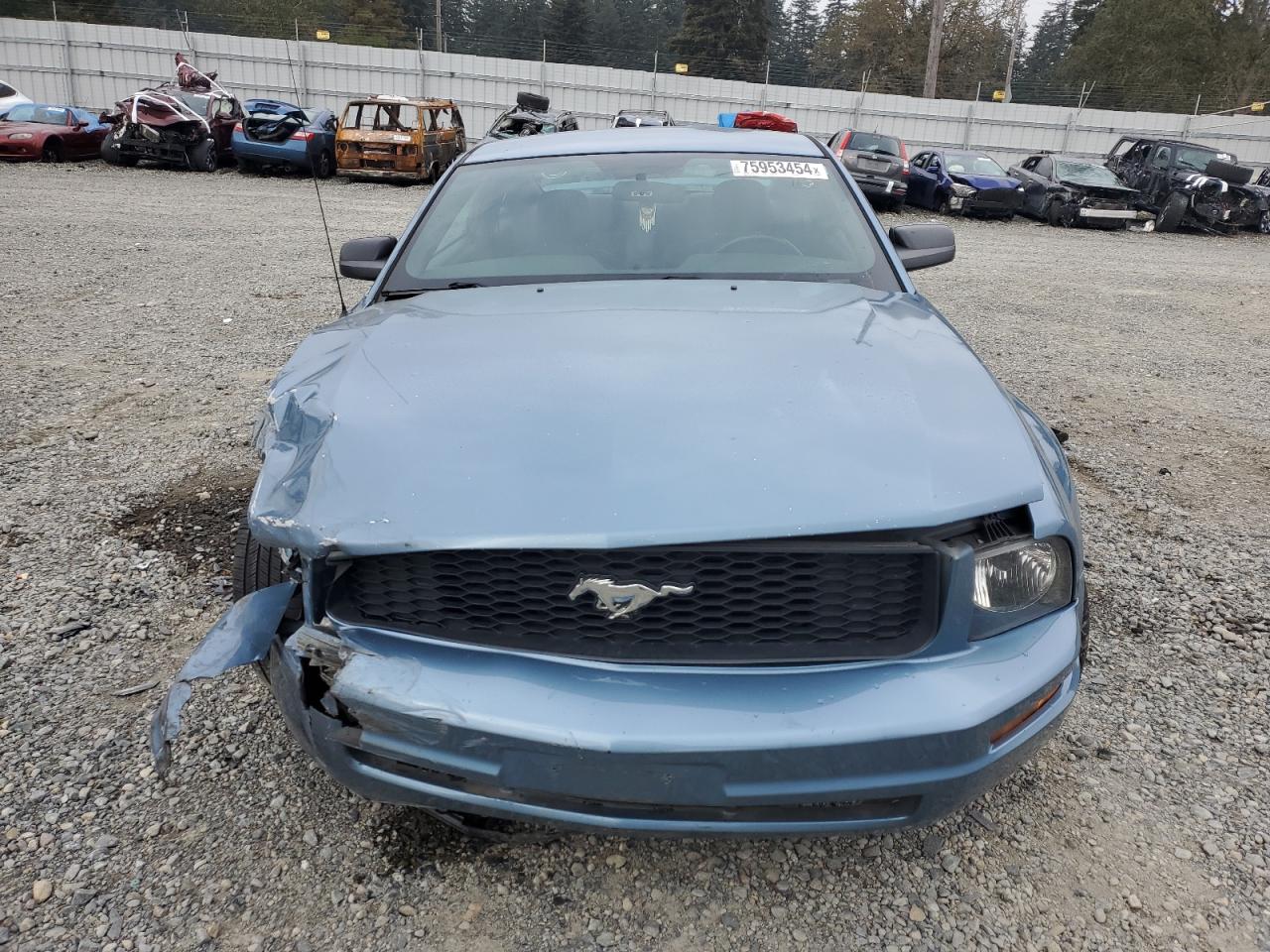 2006 Ford Mustang VIN 1ZVFT80N865131598 Copart auction photo, side damage thumbnail 5