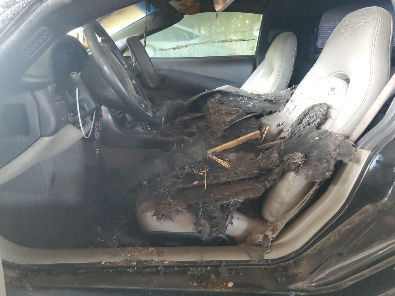 2004 Chevrolet Corvette VIN 1G1YY22G745129789 Copart auction photo, burn - engine / front end damage thumbnail 7