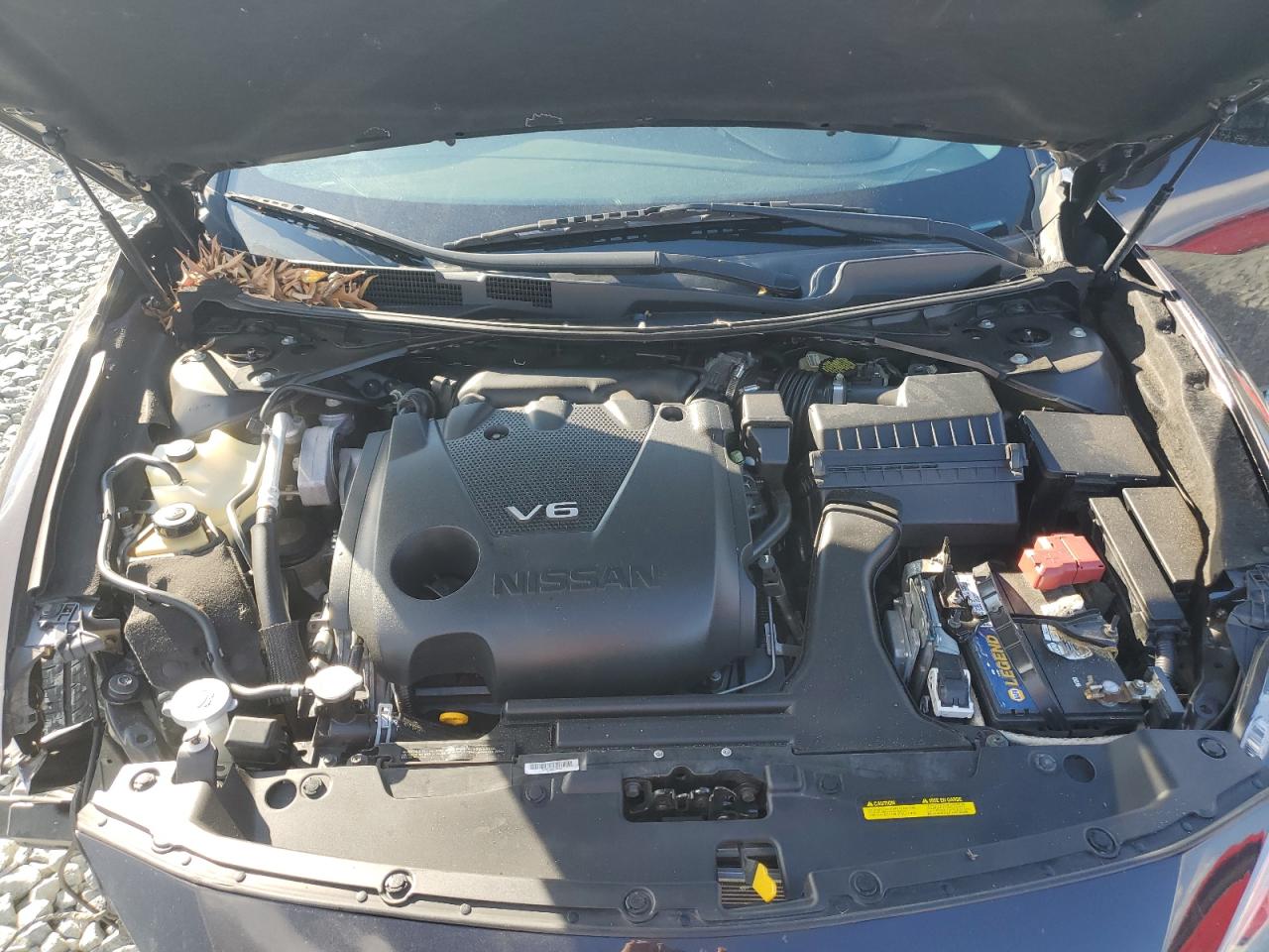 2016 Nissan Maxima VIN 1N4AA6AP5GC437555 Copart auction photo, front end / rear end damage thumbnail 12