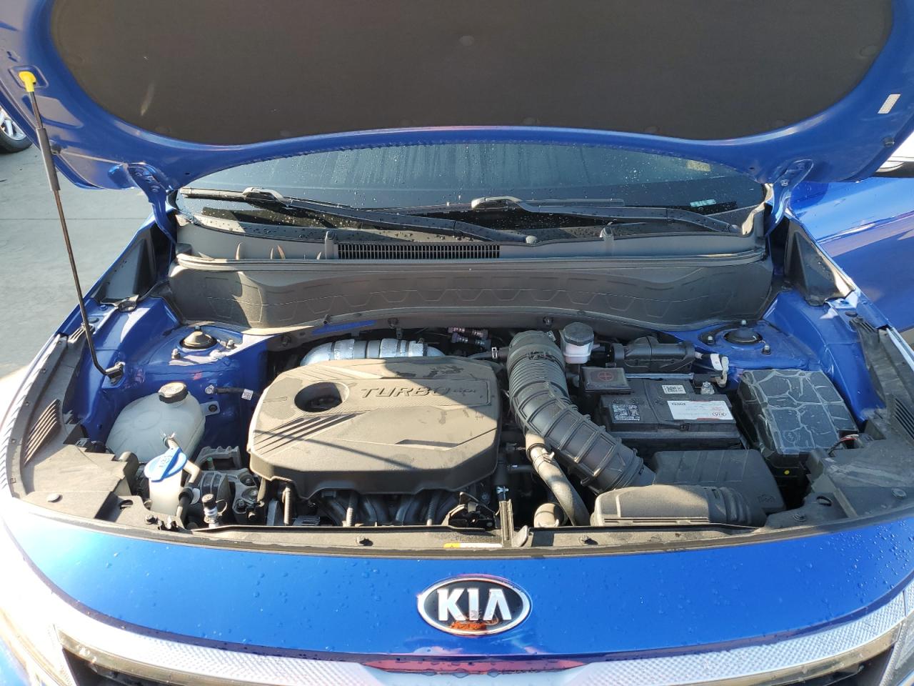 2021 KIA Seltos VIN KNDEUCA21M7056196 Copart auction photo, water/flood damage thumbnail 12