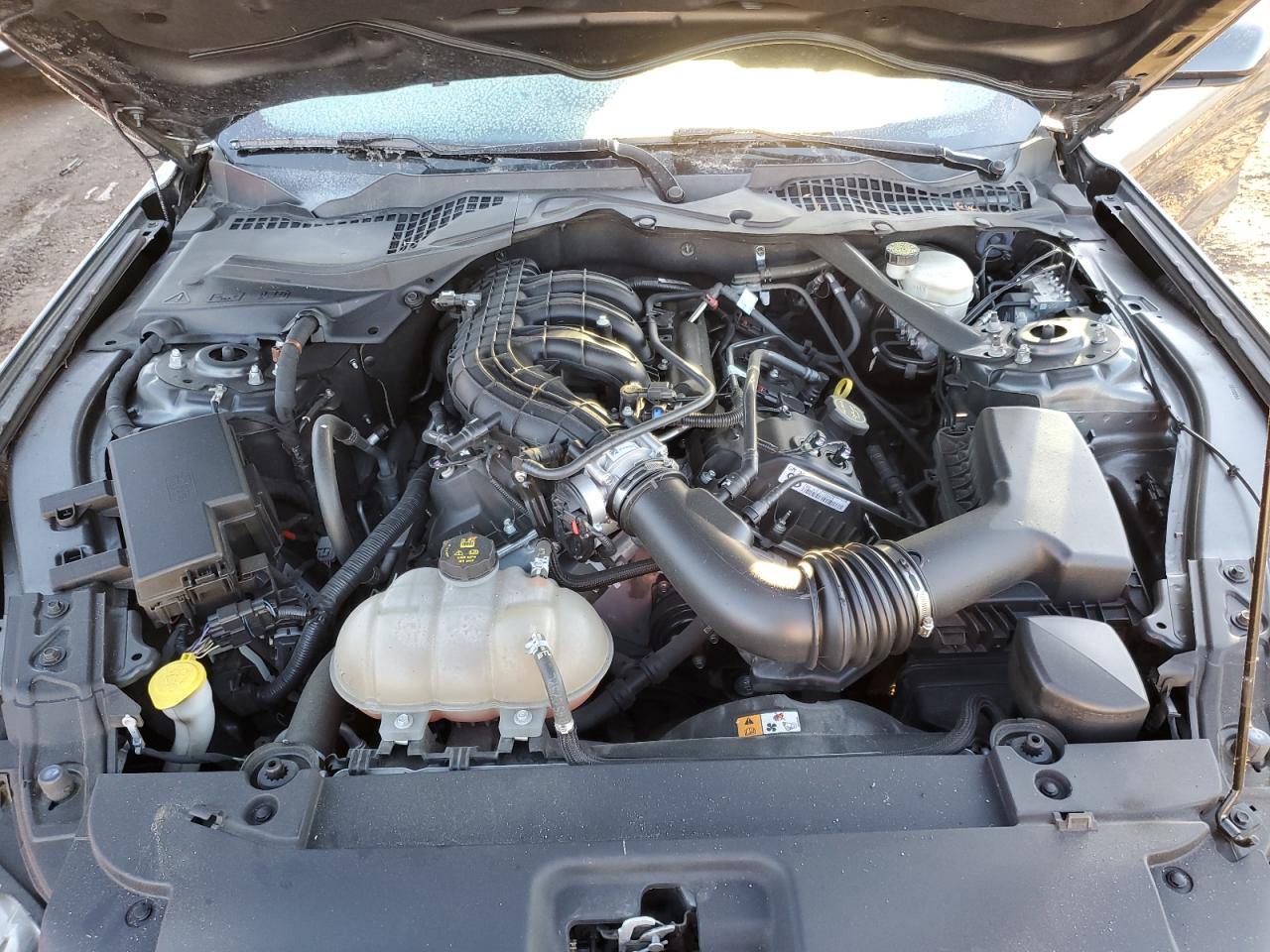 2016 Ford Mustang VIN 1FATP8EM0G5307724 Copart auction photo, rear end damage thumbnail 13