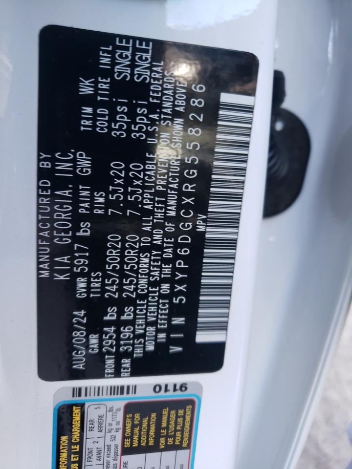 2024 KIA Telluride VIN 5XYP6DGCXRG558286 Copart auction photo, all over damage thumbnail 13