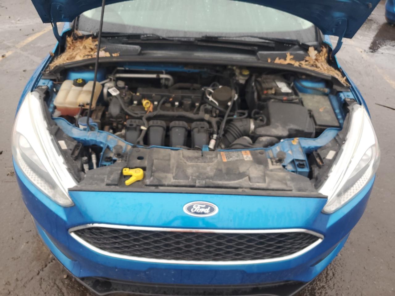 2016 Ford Focus VIN 1FADP3F23GL244697 Copart auction photo, rear end damage thumbnail 12