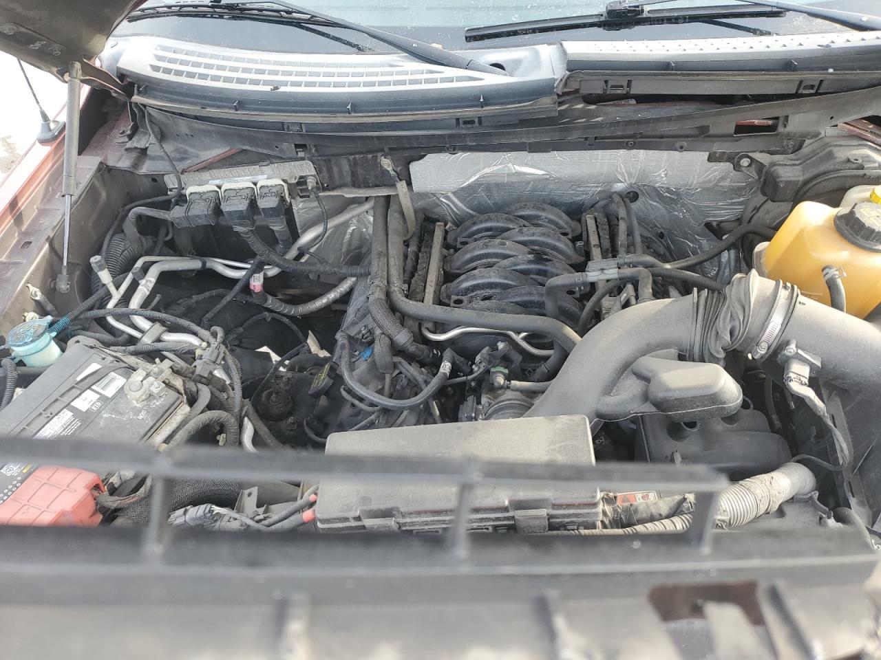 2014 Ford F-150 VIN 1FTFW1EF3EKF06977 Copart auction photo, front end damage thumbnail 11