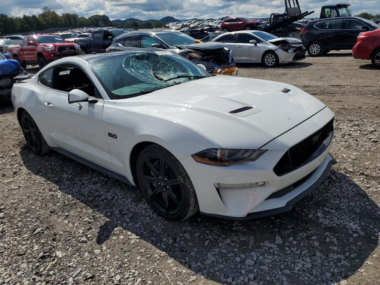2019 Ford Mustang VIN 1FA6P8CF6K5199619 Copart auction photo, top/roof / rear end damage thumbnail 4