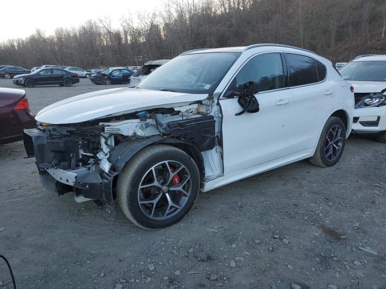 2020 Alfa Romeo Stelvio VIN ZASPAKBN7L7C76386