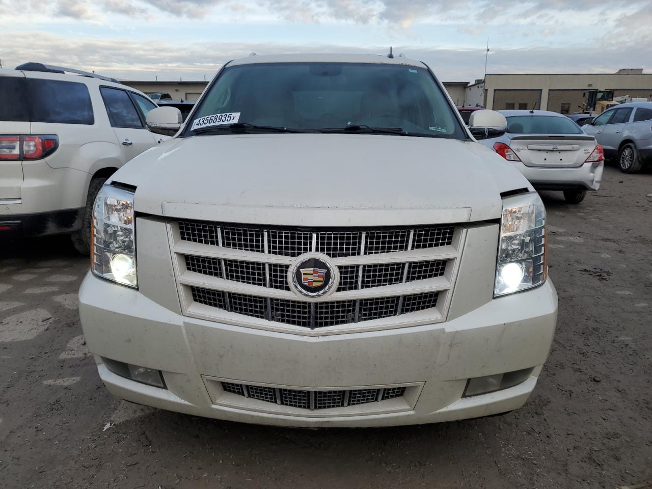2014 Cadillac Escalade VIN 1GYS4JEF6ER195969 Copart auction photo, minor dent/scratches damage thumbnail 5