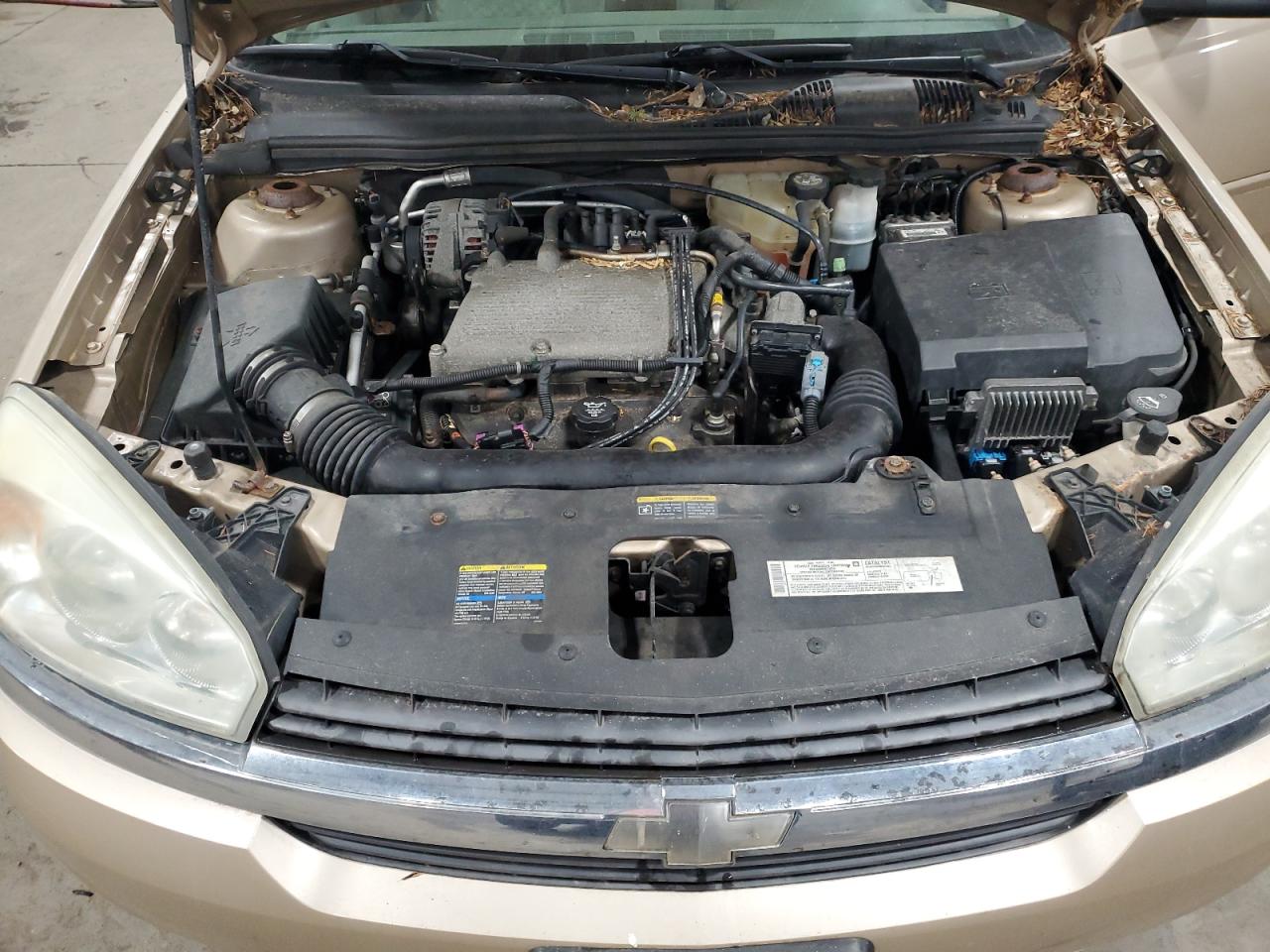 2005 Chevrolet Malibu VIN 1G1ZT54815F173826 Copart auction photo, minor dent/scratches damage thumbnail 11