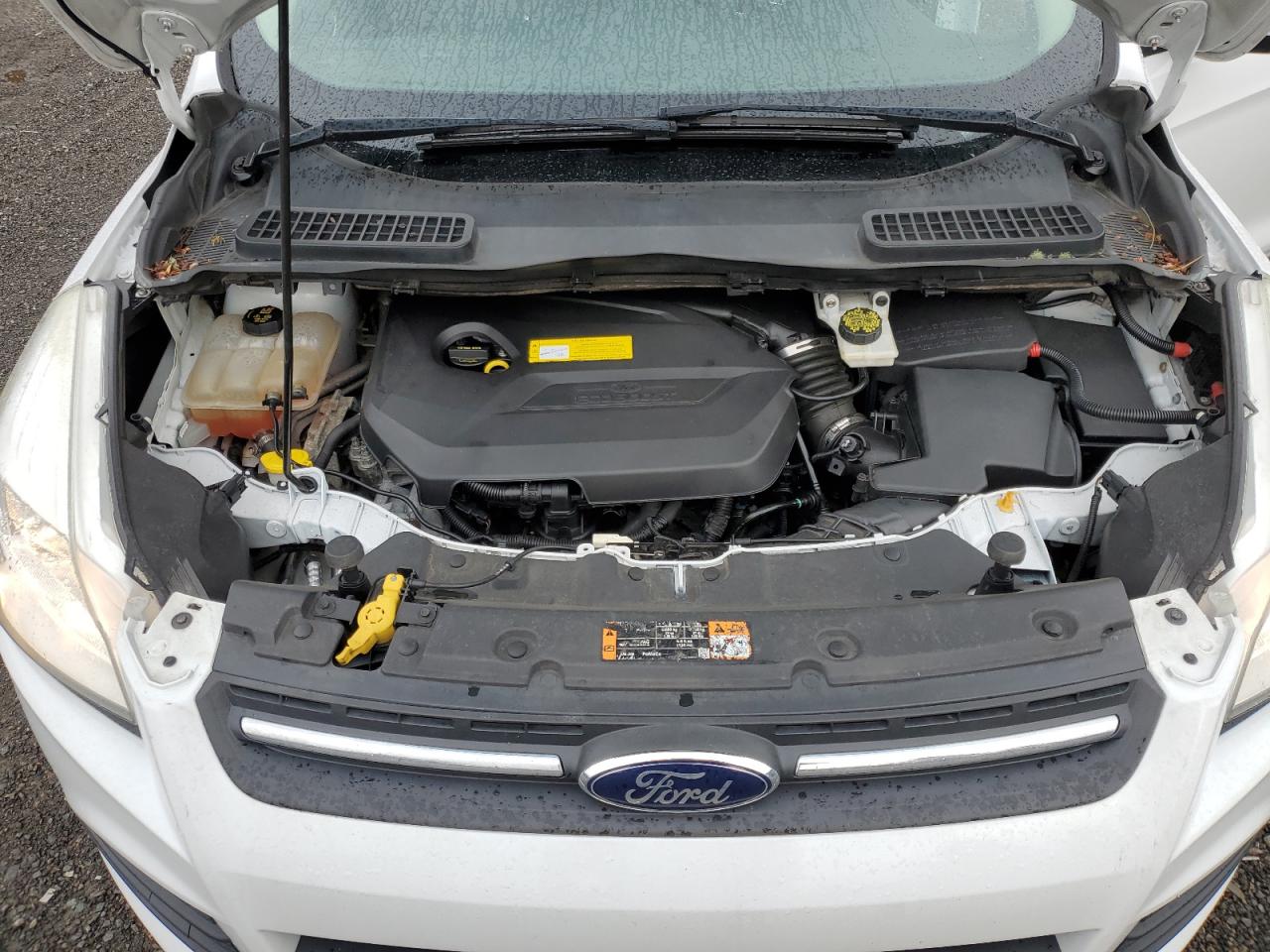 2015 Ford Escape VIN 1FMCU9GX7FUB34008 Copart auction photo, minor dent/scratches damage thumbnail 12