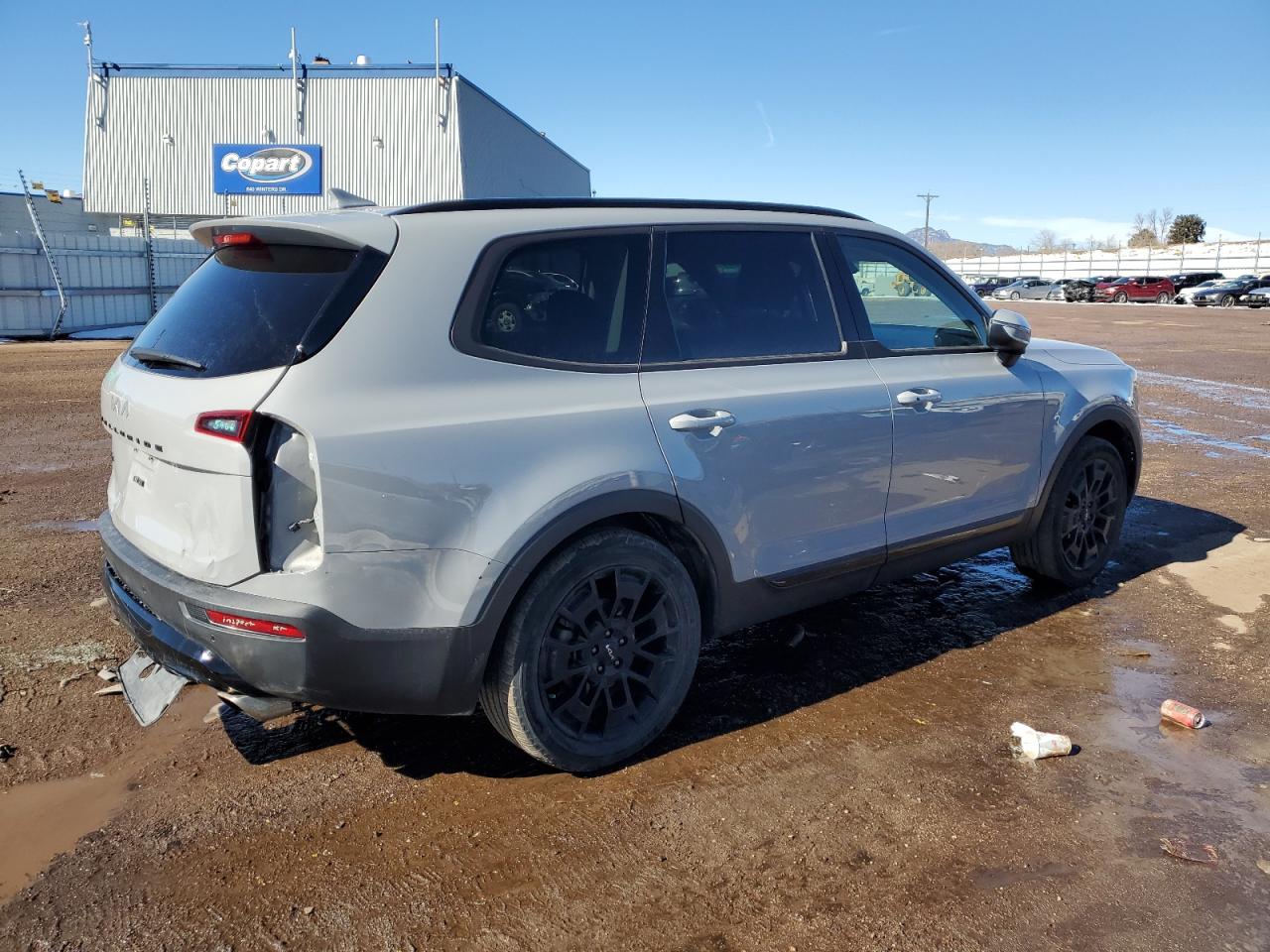 2022 KIA Telluride VIN 5XYP3DHC8NG209046 Copart auction photo, rear end damage thumbnail 3