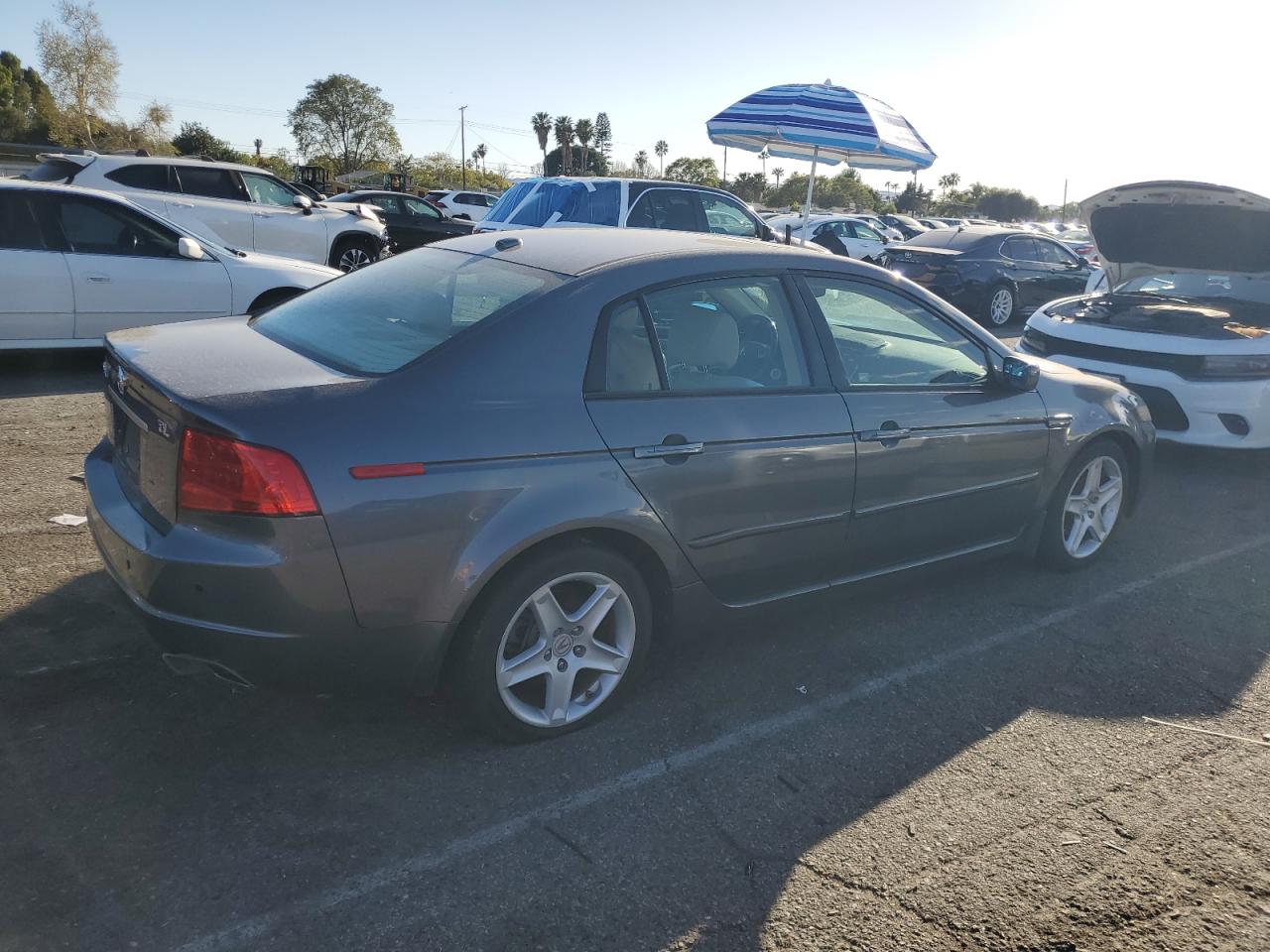 2006 Acura TL VIN 19UUA66276A062641 Copart auction photo, rear end / minor dent/scratches damage thumbnail 3