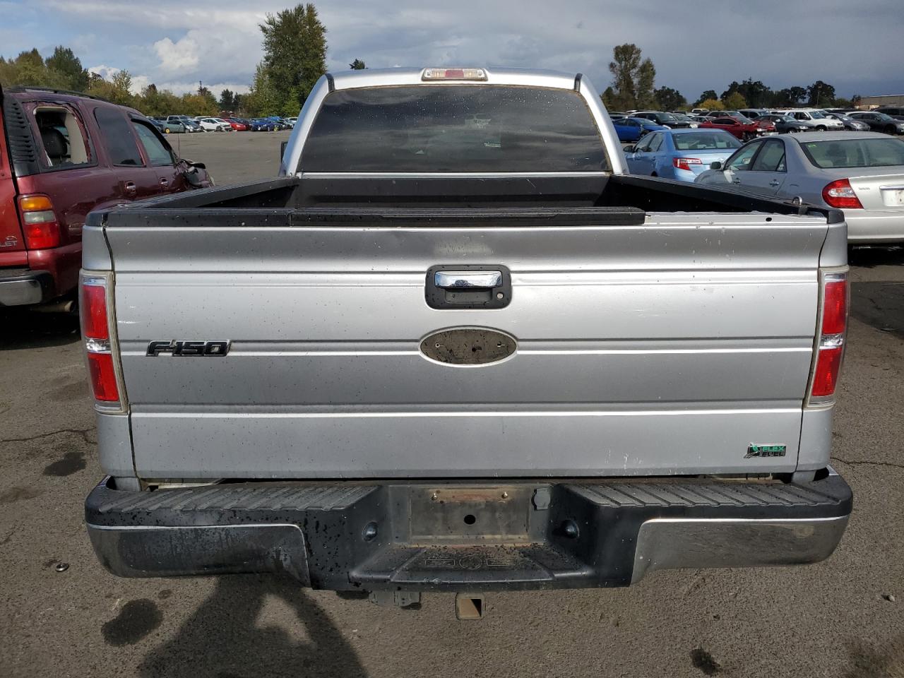 2010 Ford F-150 VIN 1FTFW1CV7AFB25730 Copart auction photo, front end damage thumbnail 6