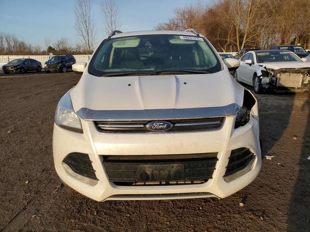 2014 Ford Escape VIN 1FMCU9J91EUD53684 Copart auction photo, side / front end damage thumbnail 5