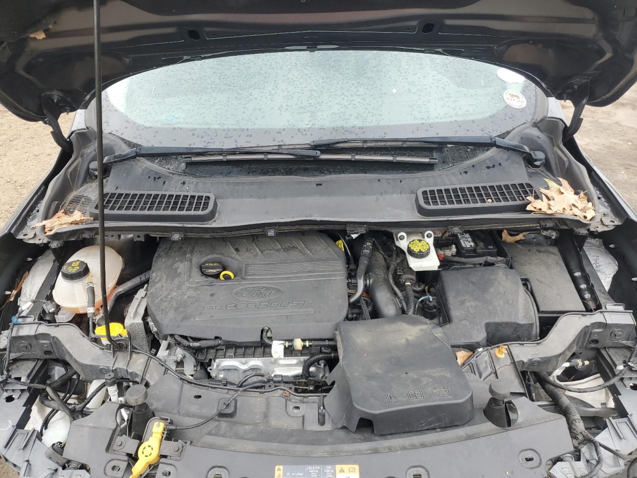 2018 Ford Escape VIN 1FMCU0HD3JUD46977 Copart auction photo, rear end / front end damage thumbnail 12