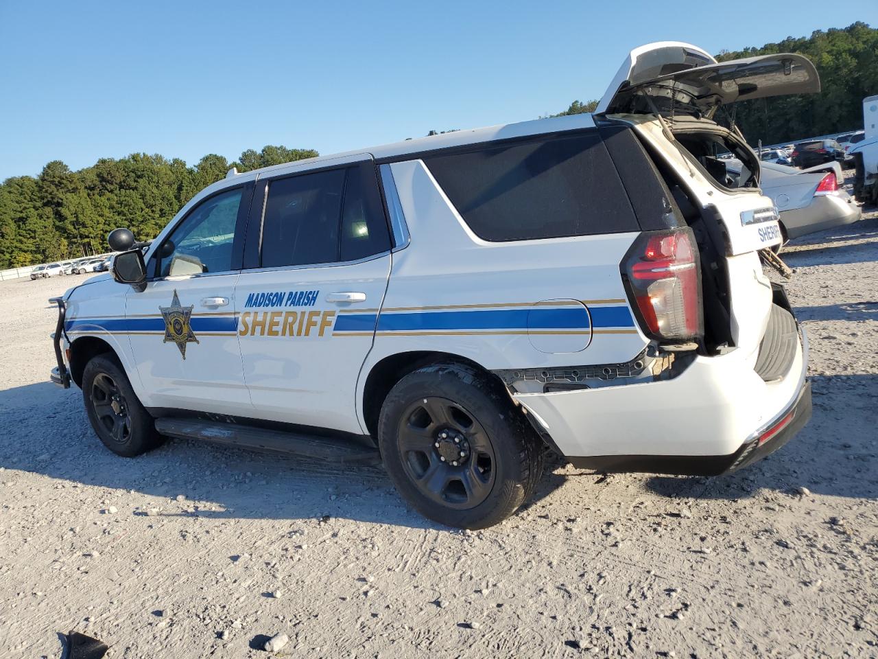 2022 Chevrolet Tahoe VIN 1GNSKLED6NR154657 Copart auction photo, side / rear end damage thumbnail 2