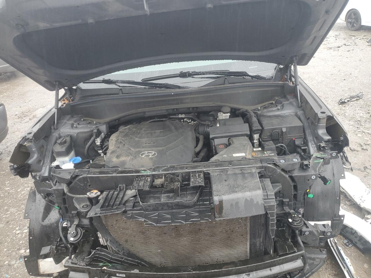 2021 Hyundai Palisade VIN KM8R34HE5MU198106 Copart auction photo, side damage thumbnail 12