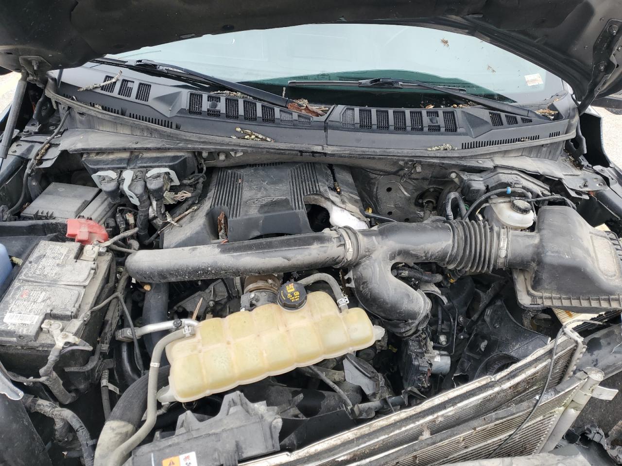 2020 Ford F-150 VIN 1FTEW1E45LKD09638 Copart auction photo, front end damage thumbnail 12