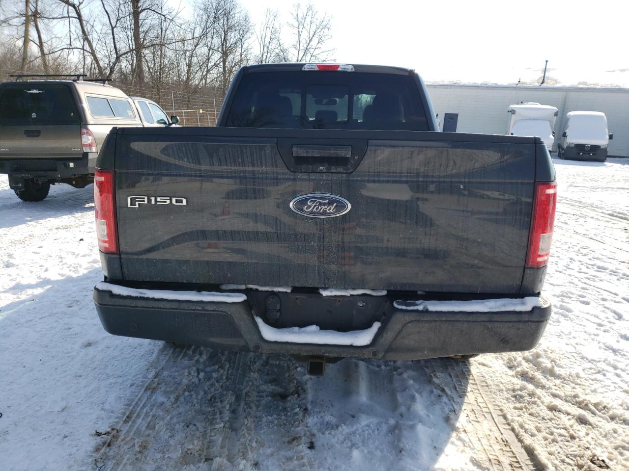 2016 Ford F-150 VIN 1FTEX1EP6GFD15292 Copart auction photo, side / rear end damage thumbnail 6
