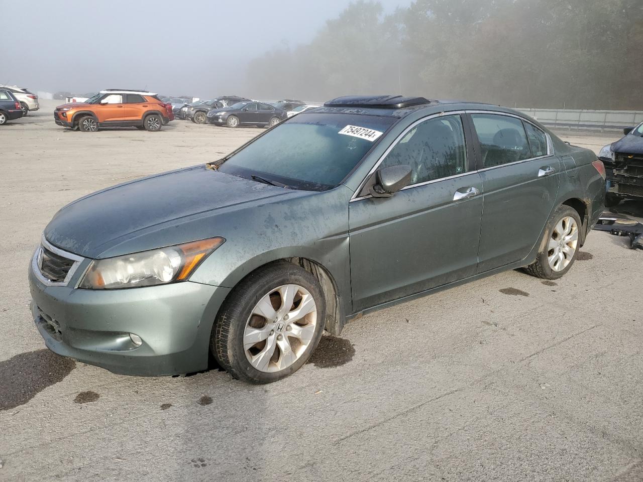 2008 Honda Accord VIN 1HGCP36888A010094