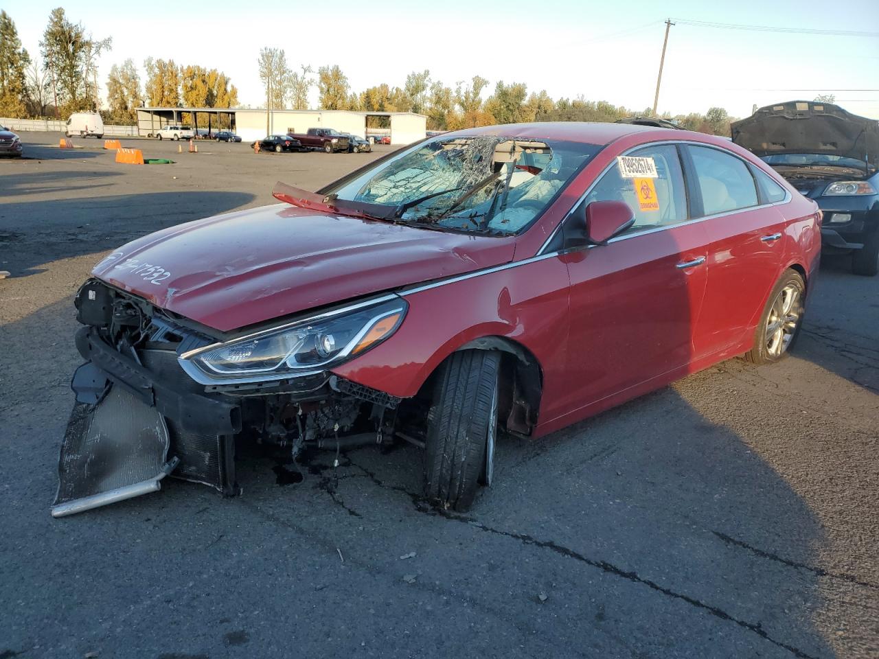 2019 Hyundai Sonata VIN 5NPE34AF3KH820196
