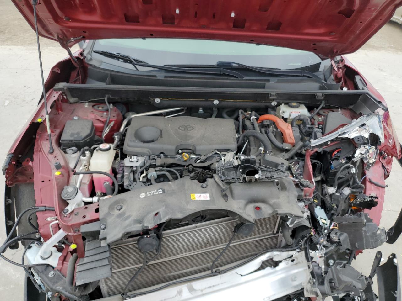 2019 Toyota RAV 4 VIN JTMDWRFV8KD008379 Copart auction photo, front end / side damage thumbnail 12