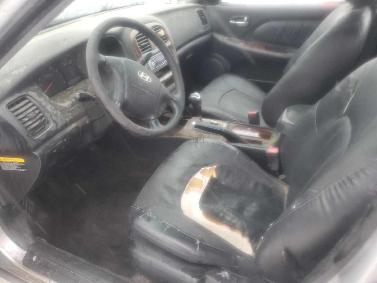 2003 Hyundai Sonata VIN KMHWF35H33A824982 Copart auction photo, burn damage thumbnail 7