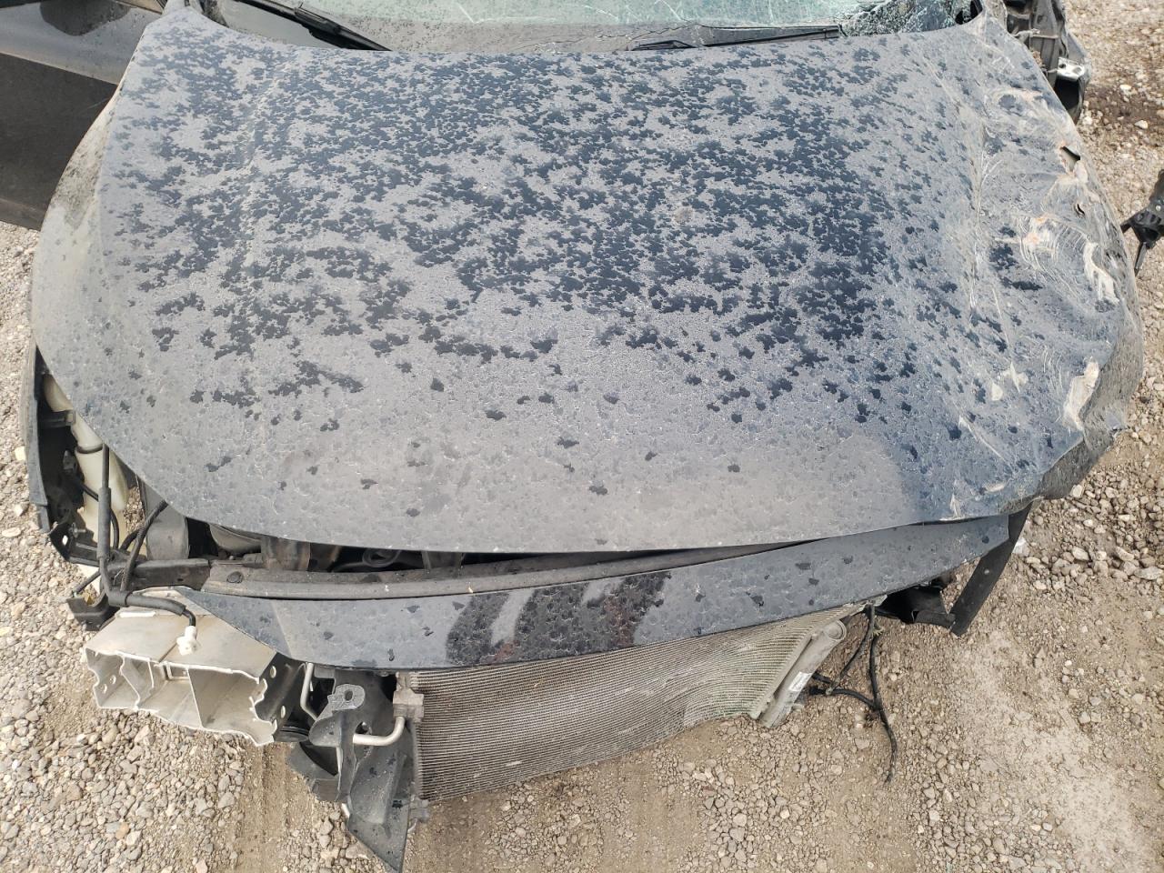 2018 Honda Civic VIN 19XFC2F84JE010162 Copart auction photo, all over / undercarriage damage thumbnail 11