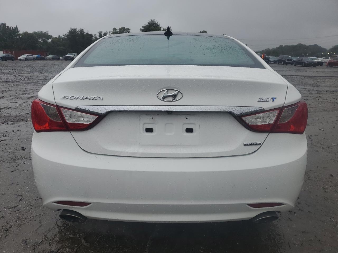 2013 Hyundai Sonata VIN 5NPEC4AB4DH788830 Copart auction photo, side damage thumbnail 6