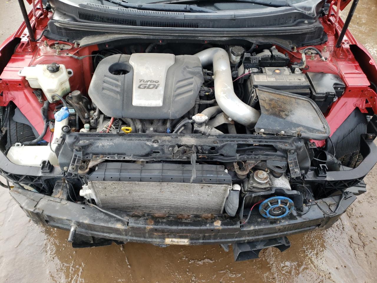 2014 Hyundai Veloster VIN KMHTC6AE0EU201149 Copart auction photo, front end damage thumbnail 11