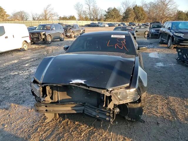 2013 Ford Mustang VIN 1ZVBP8AM3D5279308 Copart auction photo, front end damage thumbnail 10