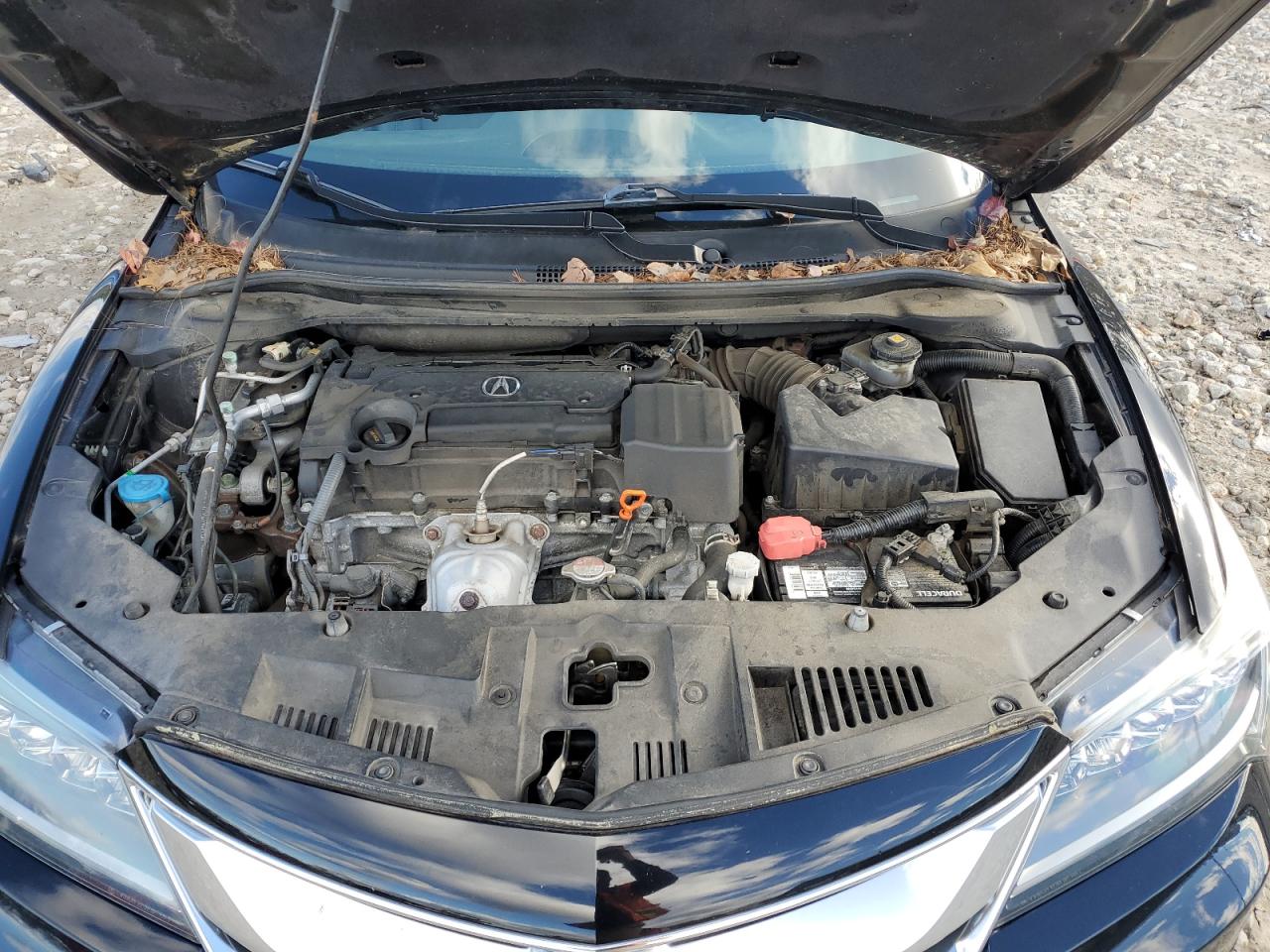 2016 Acura ILX VIN 19UDE2F72GA005015 Copart auction photo, rear end / side damage thumbnail 12