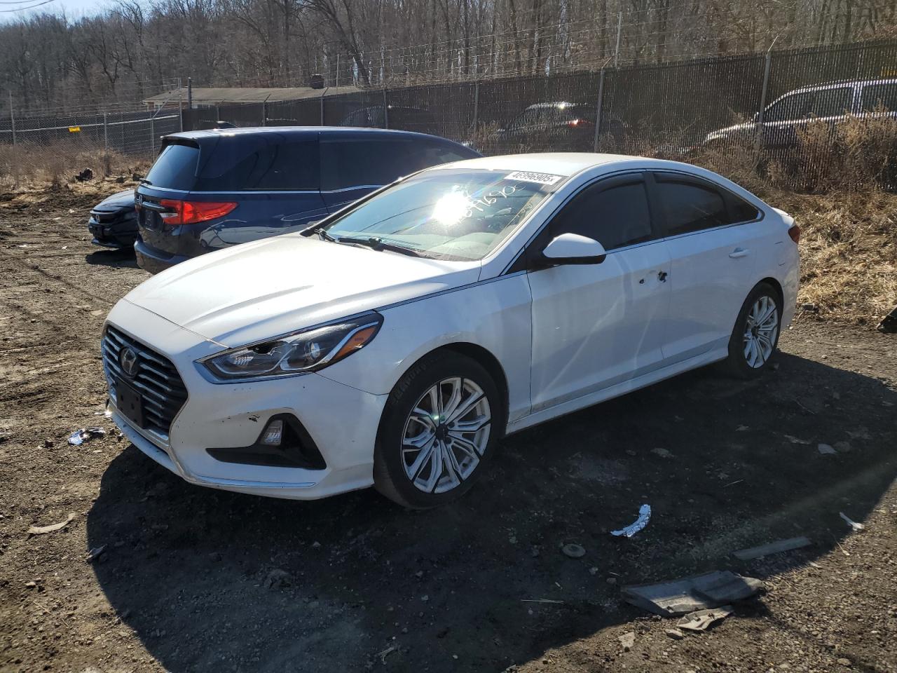 2019 Hyundai Sonata VIN 5NPE24AF4KH767561