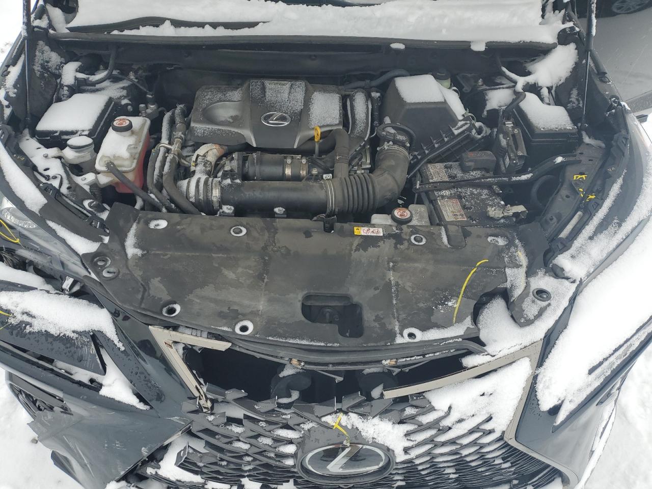 2020 Lexus NX VIN JTJSARDZXL2229536 Copart auction photo, all over damage thumbnail 12